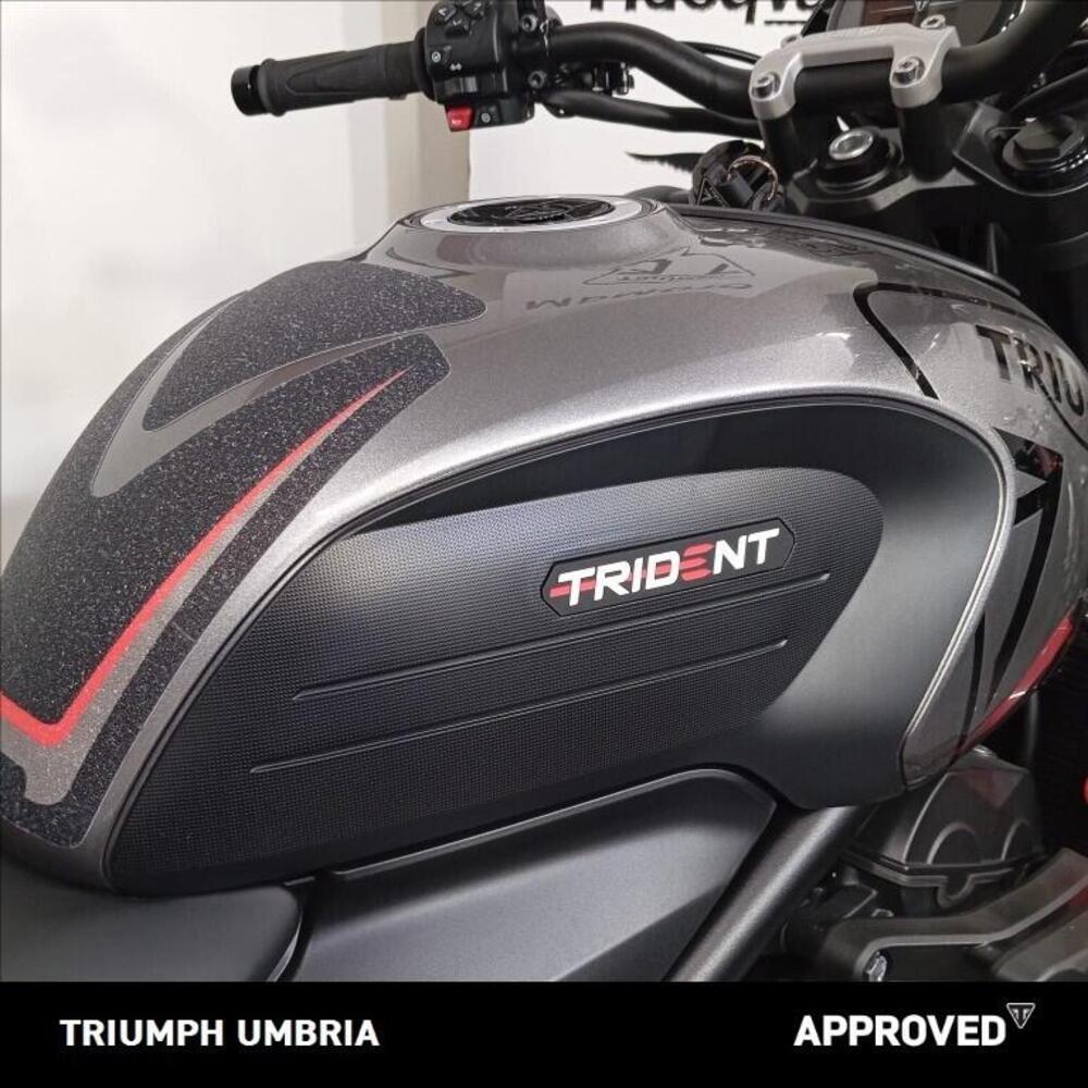 Triumph Trident 660 (2021 - 24) (7)