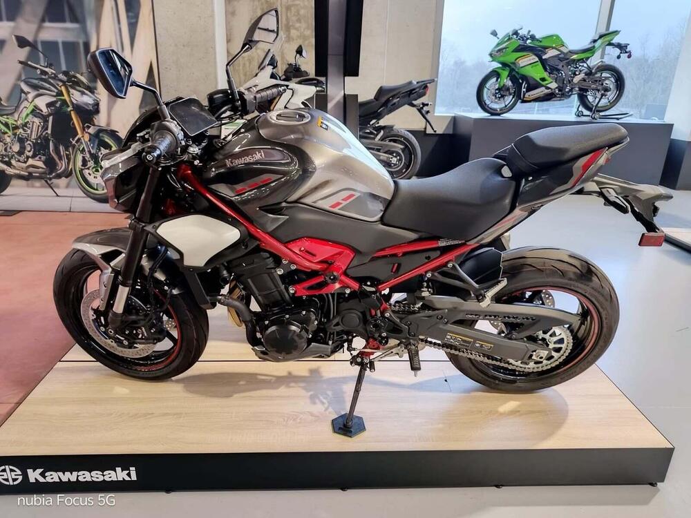 Kawasaki Z 900 (2025 - 26)