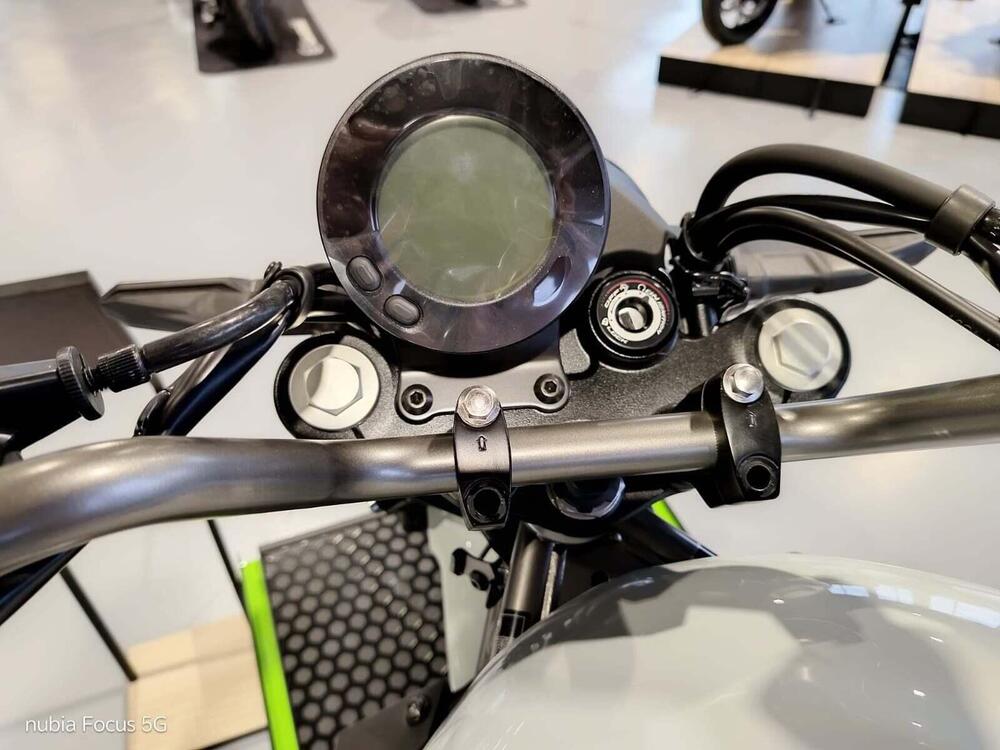 Kawasaki Eliminator 500 (2024 - 26) (5)