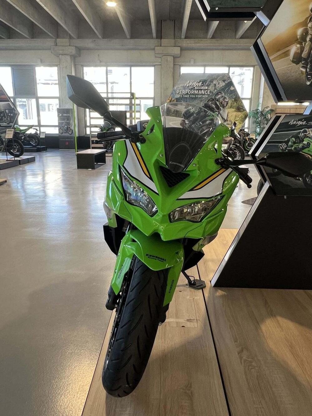 Kawasaki Ninja ZX-4RR (2024 - 26) (3)