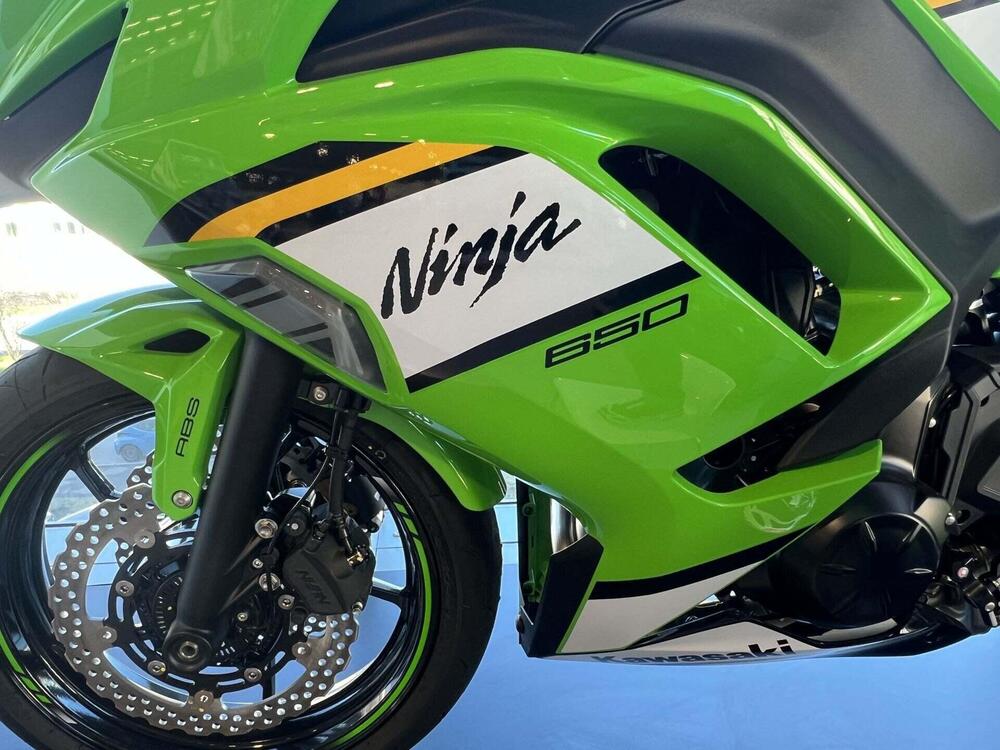 Kawasaki Ninja 650 (2025 - 26) (6)