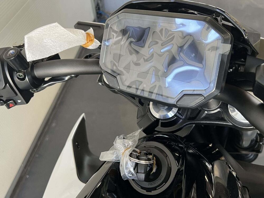 Kawasaki Z 650 (2025 - 26) (6)