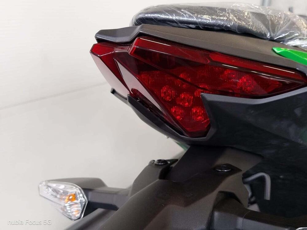 Kawasaki Z 500 (2024 - 26) (5)