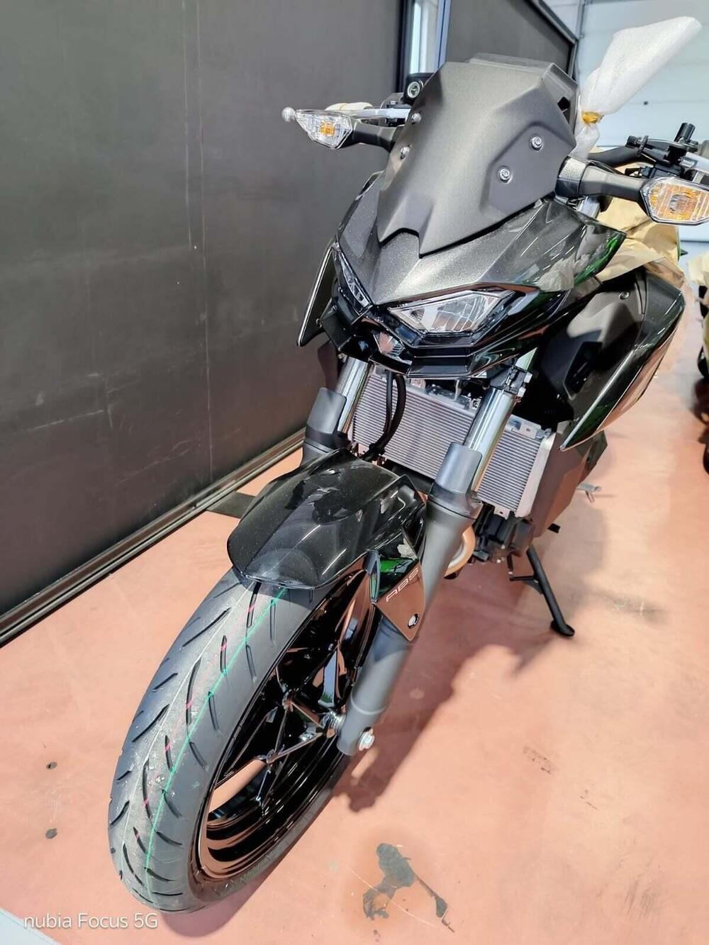 Kawasaki Z 500 (2024 - 26) (6)