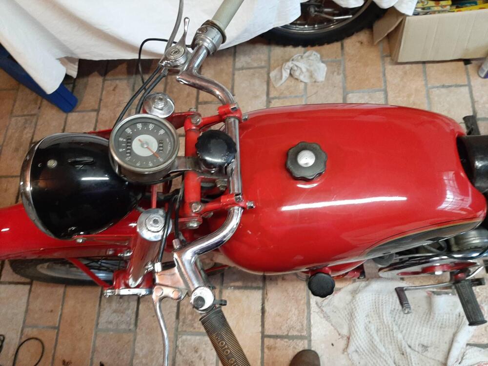 Moto Guzzi Falcone 500 sport (5)
