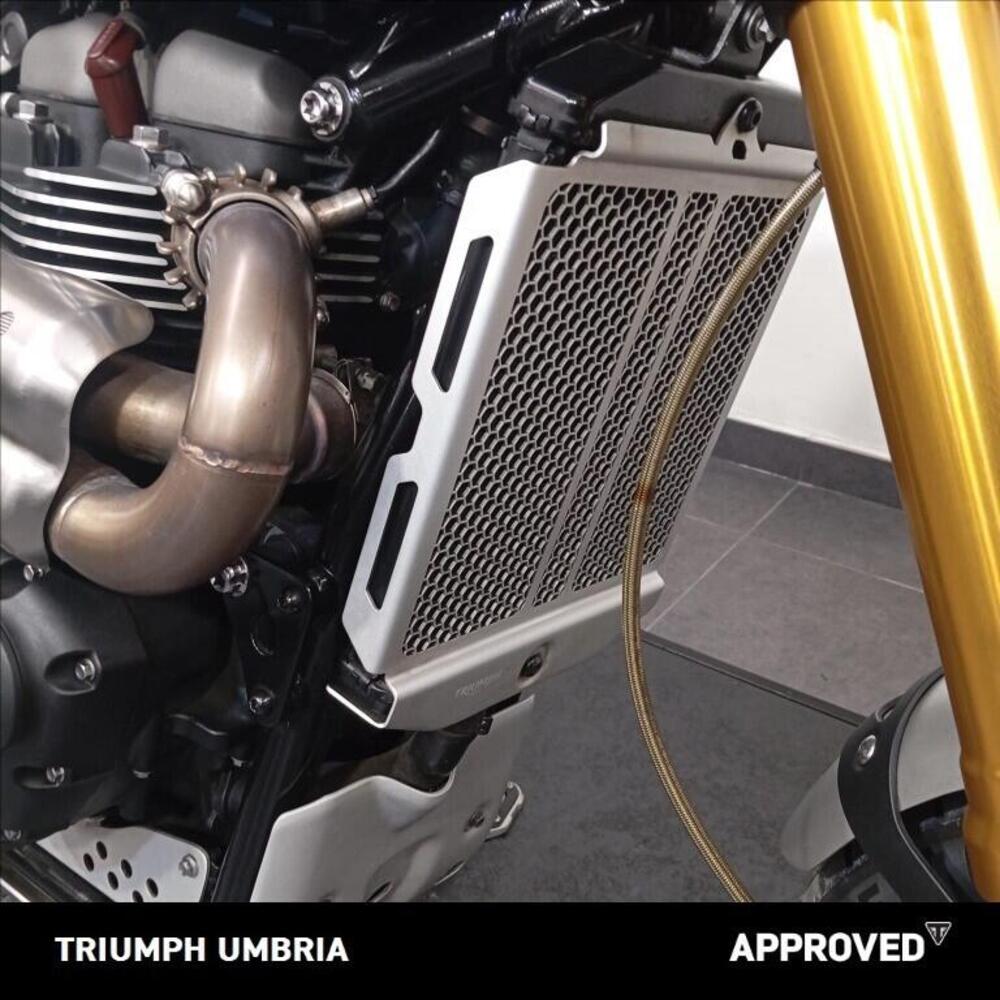 Triumph Scrambler 1200 XE (2019 - 20) (5)