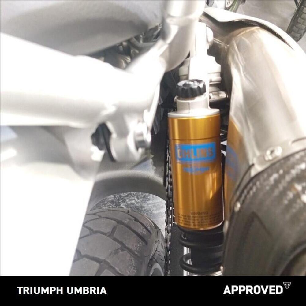 Triumph Scrambler 1200 XE (2019 - 20) (14)