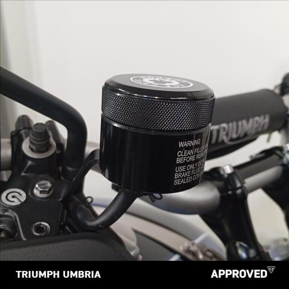 Triumph Scrambler 1200 XE (2019 - 20) (8)