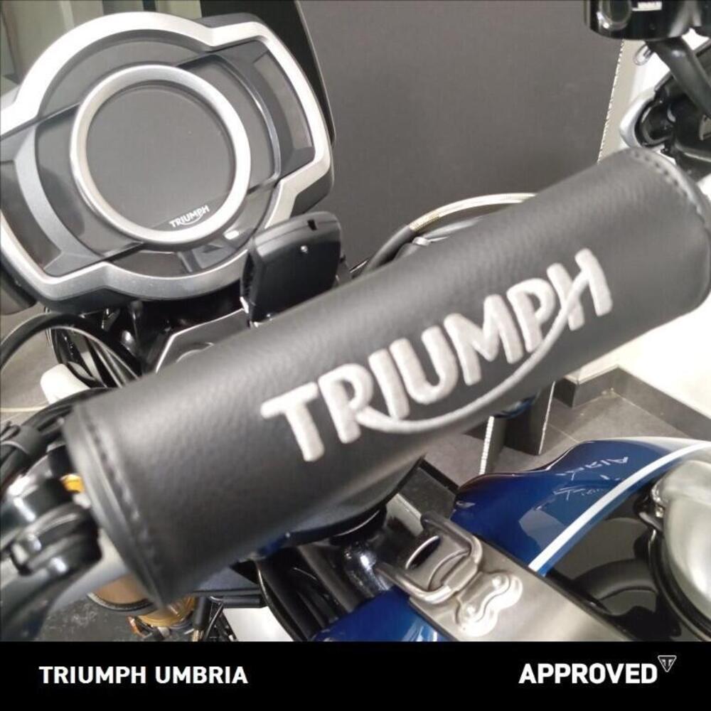 Triumph Scrambler 1200 XE (2019 - 20) (15)