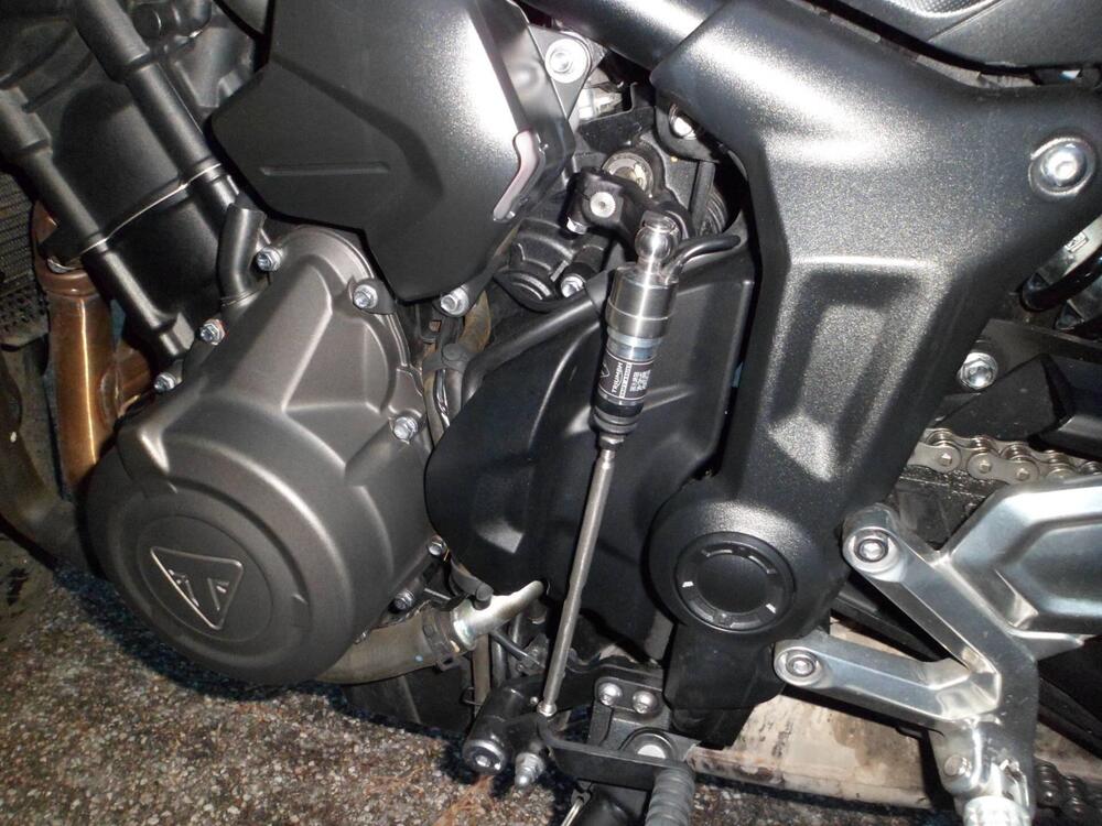 Triumph Trident 660 (2021 - 24) (10)