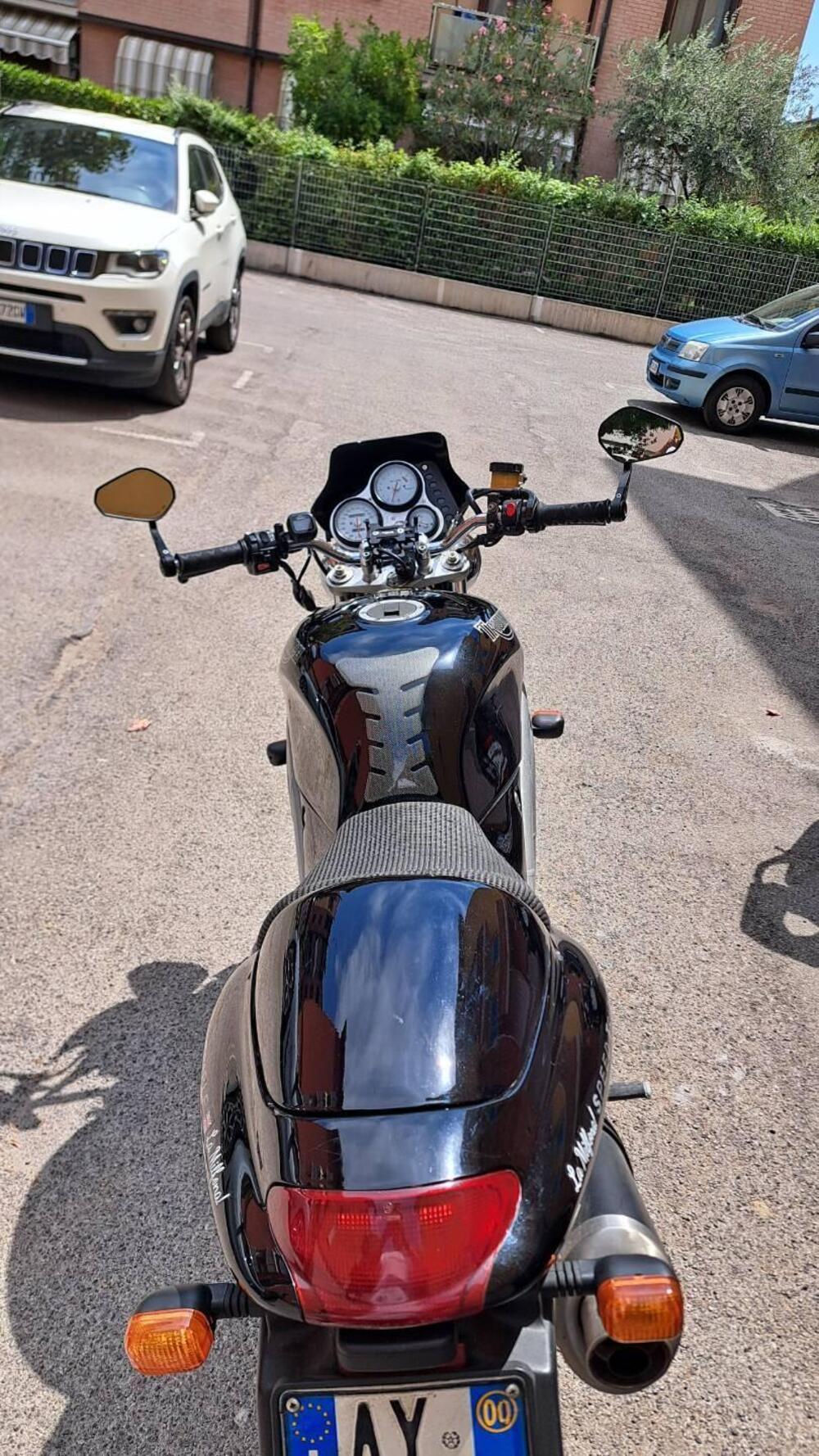 Triumph Speed Triple 955 (1998 - 01) (2)