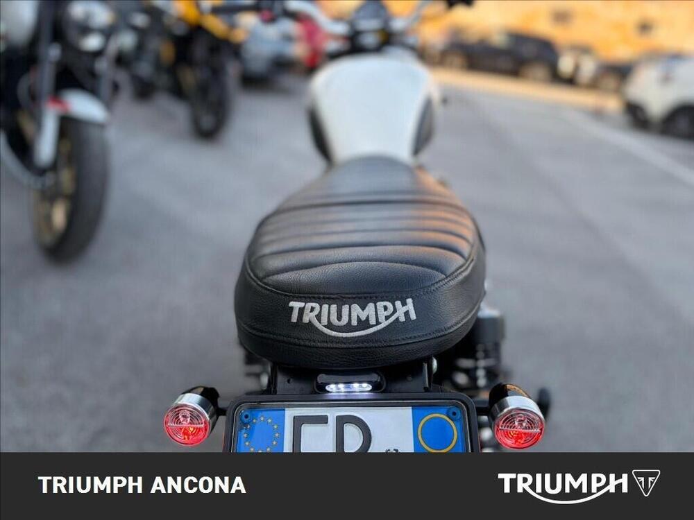 Triumph Street Scrambler 900 (2019 - 20) (5)