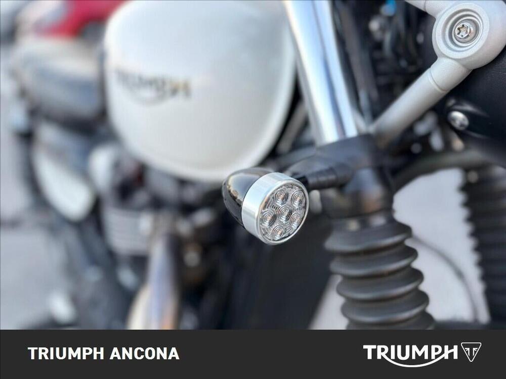 Triumph Street Scrambler 900 (2019 - 20) (7)