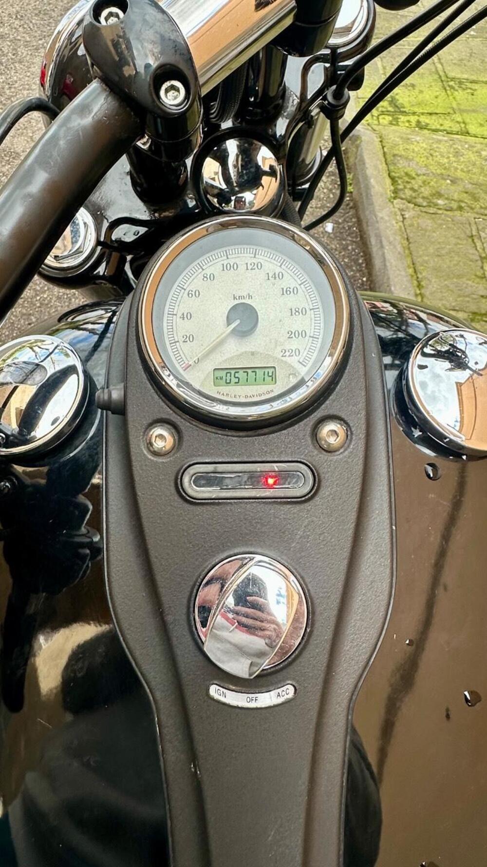 Harley-Davidson 1584 Wide Glide (2007 - 11) - FXDWG (9)