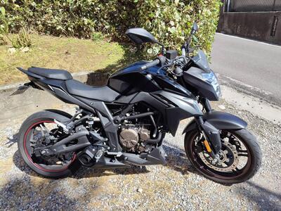 Voge Brivido 300R (2021 - 24) usata