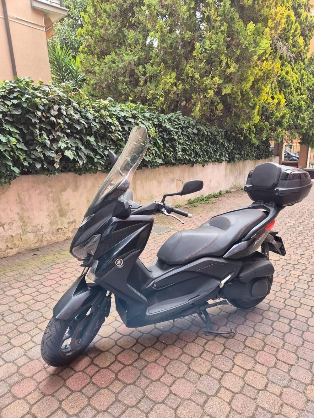Yamaha X-Max 250 (2014 - 16) (2)
