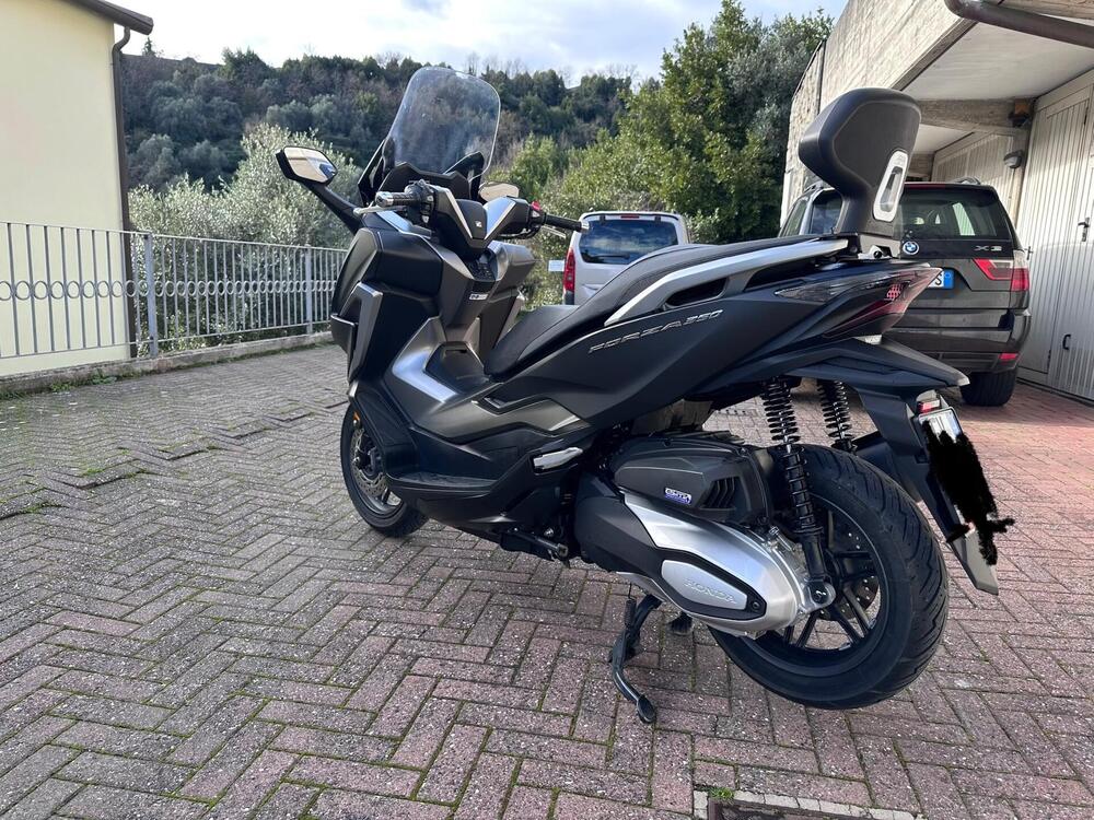 Honda Forza 350 (2022 - 24) (2)