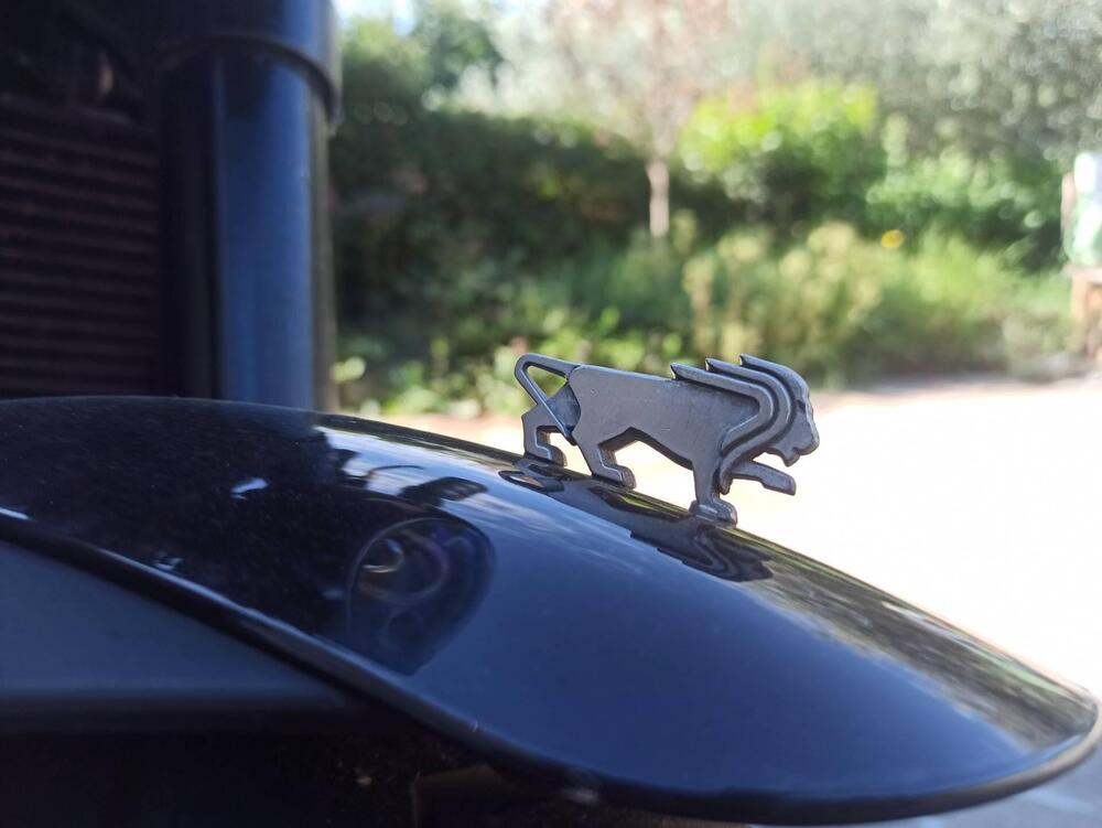 Benelli Leoncino 500 ABS (2017 - 20) (5)