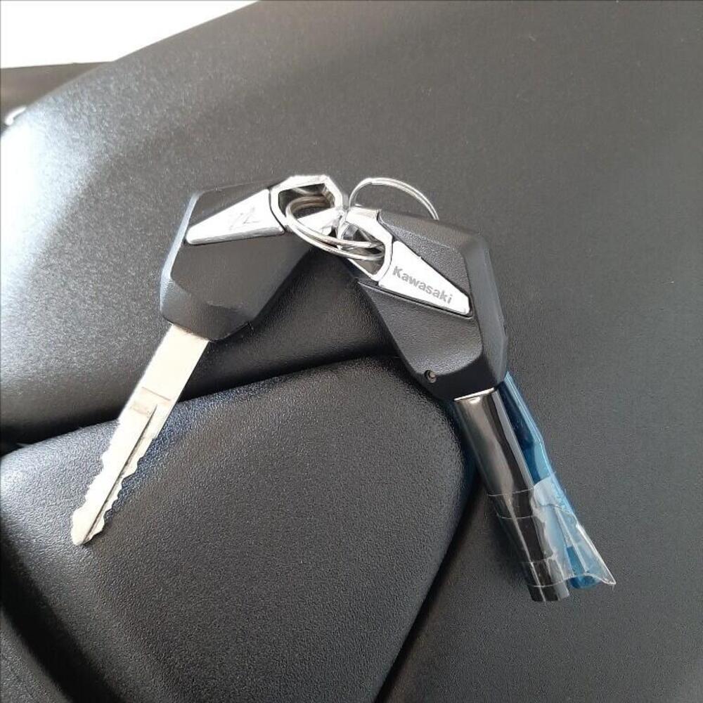 Kawasaki Z 1000 R (2017 - 20) (15)