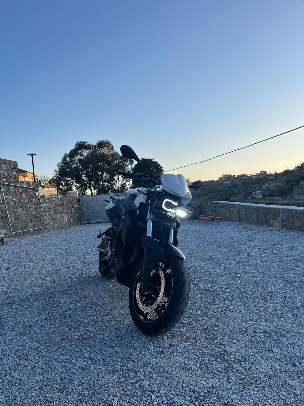 Bmw F 800 R (2009 - 11)