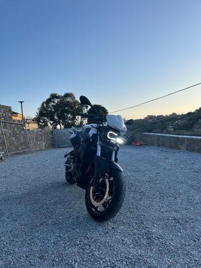 Bmw F 800 R (2009 - 11) usata