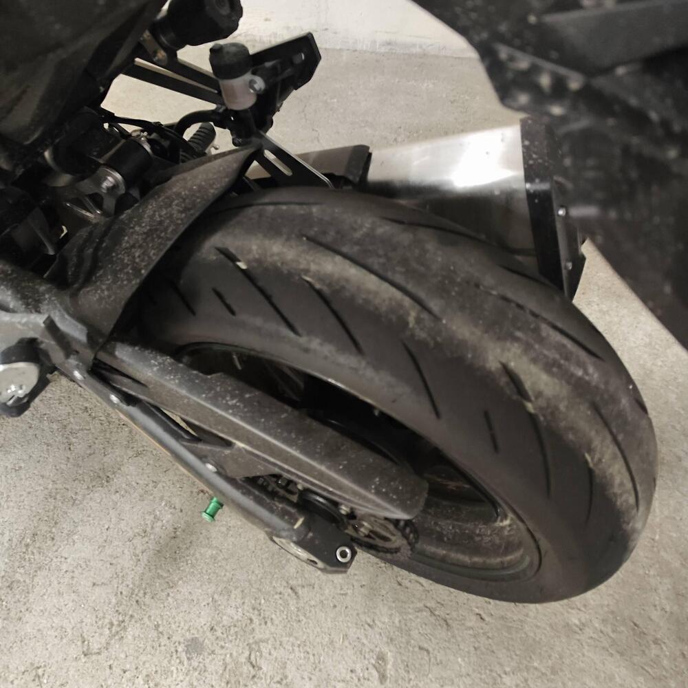 Kawasaki Ninja 1000 SX Performance (2021 - 24) (15)