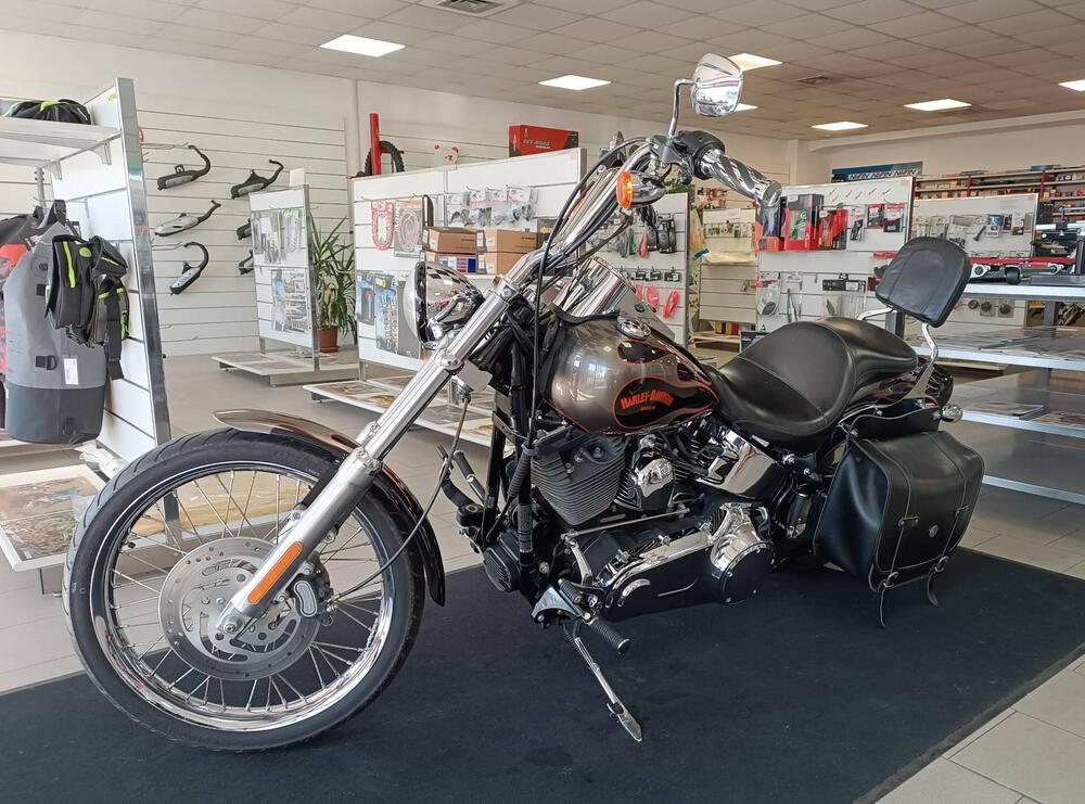 Harley-Davidson 1584 Custom (2008 - 09) - FXSTC (3)