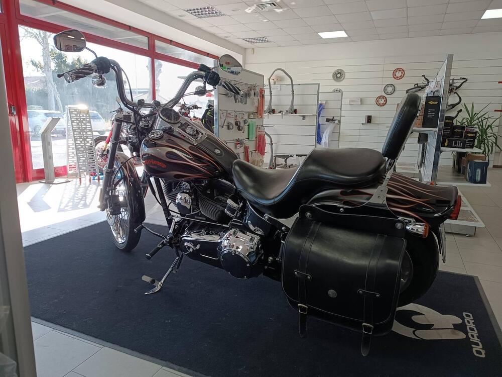 Harley-Davidson 1584 Custom (2008 - 09) - FXSTC (4)