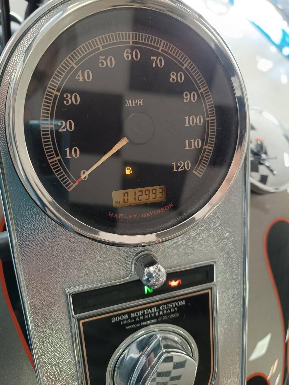 Harley-Davidson 1584 Custom (2008 - 09) - FXSTC (9)