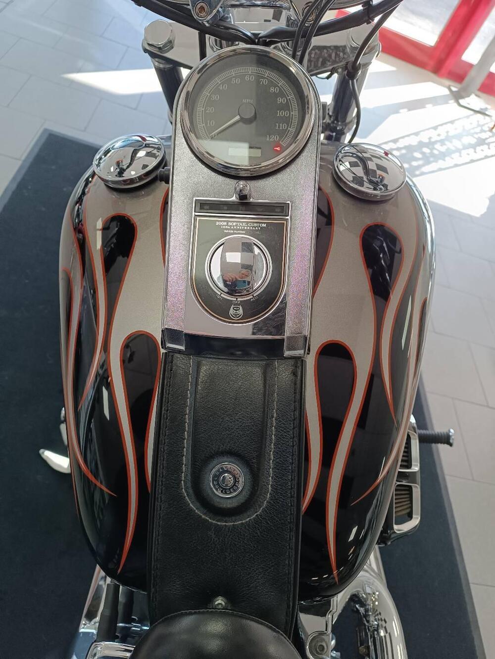 Harley-Davidson 1584 Custom (2008 - 09) - FXSTC (10)