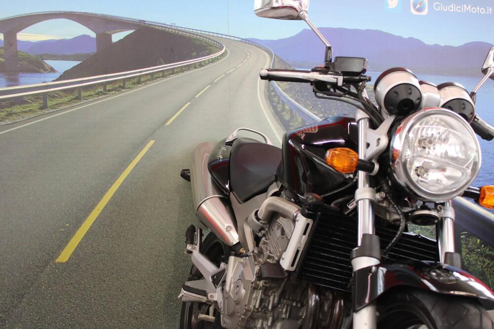 Honda Hornet 600 (2003 - 04) (10)