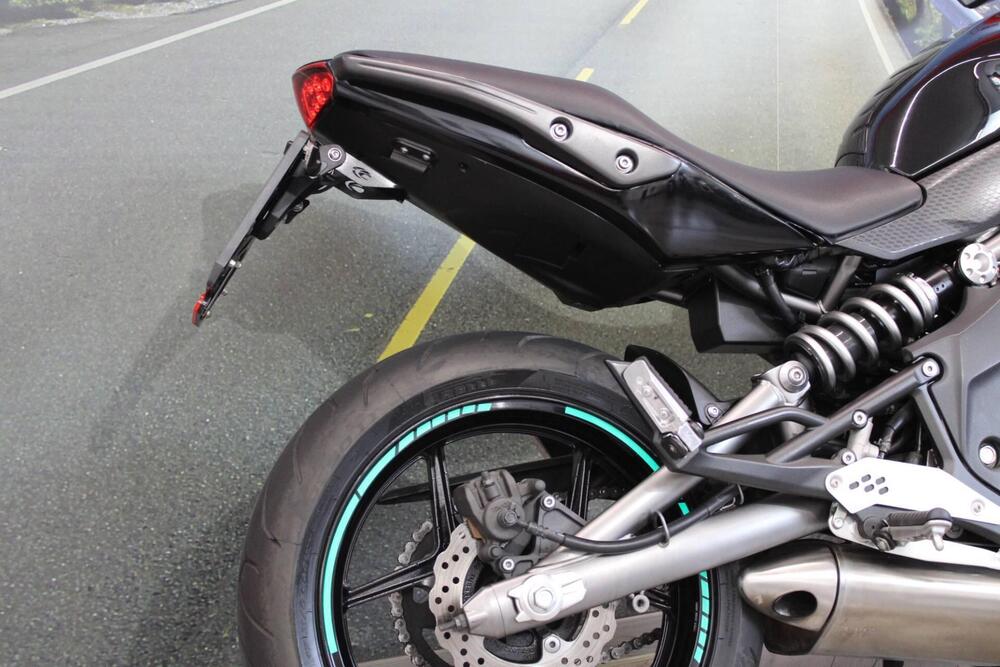 Kawasaki ER-6N (2009 - 11) (15)