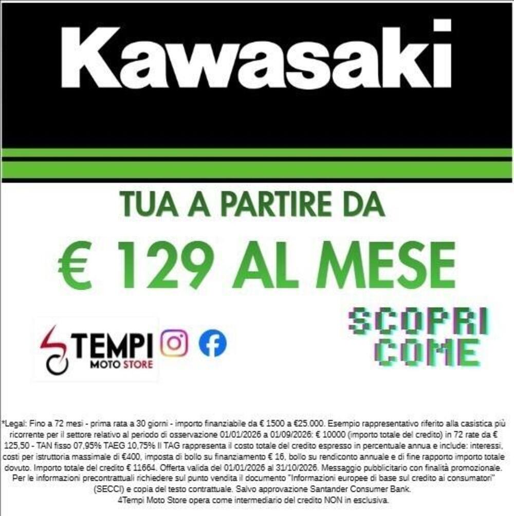 Kawasaki Z 900 A2 (2025 - 26) (2)