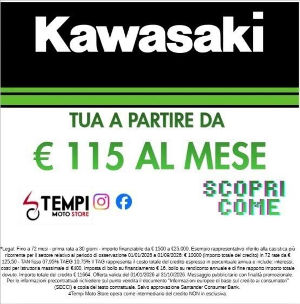 Kawasaki Ninja ZX-4R (2024 - 26) (2)