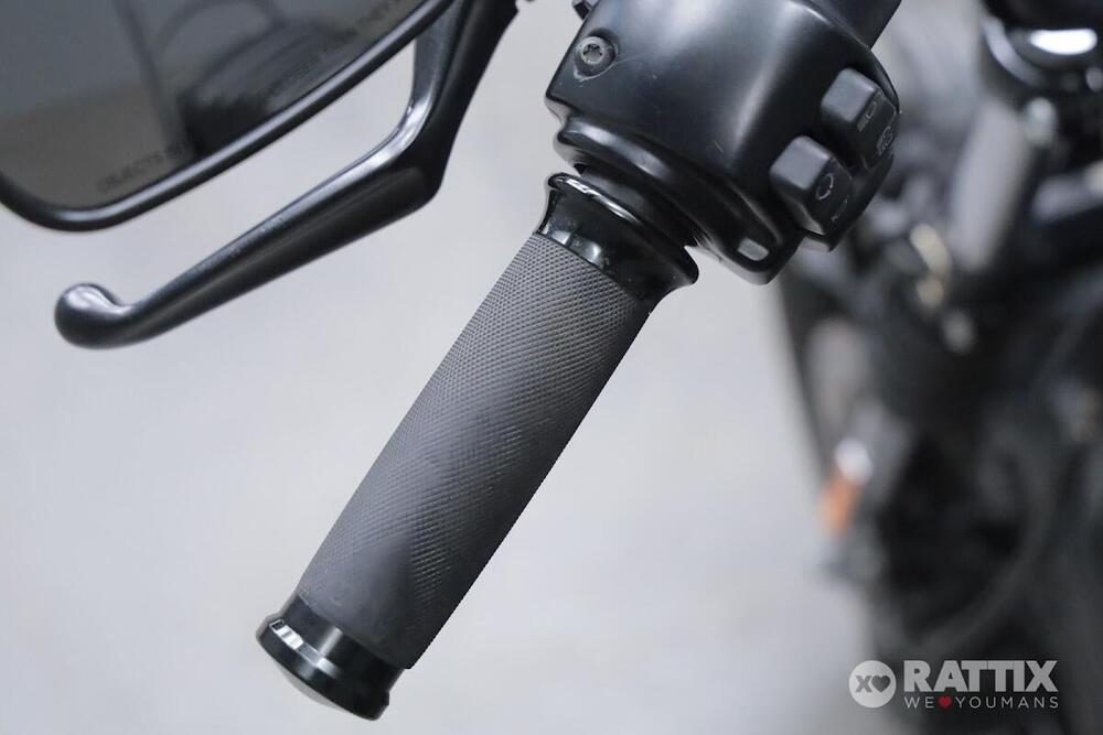 Harley-Davidson 883 Iron (2017 - 20) - XL 883N (11)