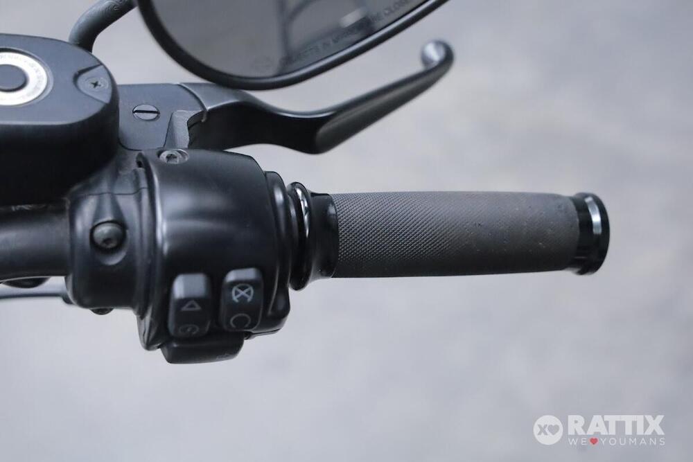 Harley-Davidson 883 Iron (2017 - 20) - XL 883N (12)