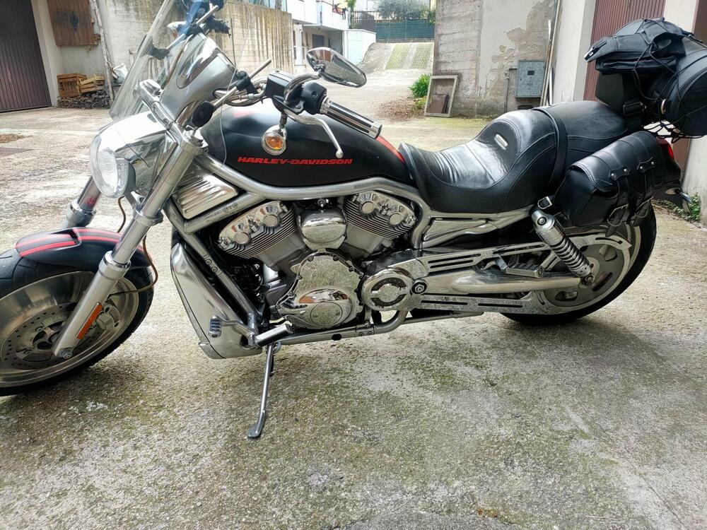 Harley-Davidson 1130 V-Rod (2006) - VRSCA (2)