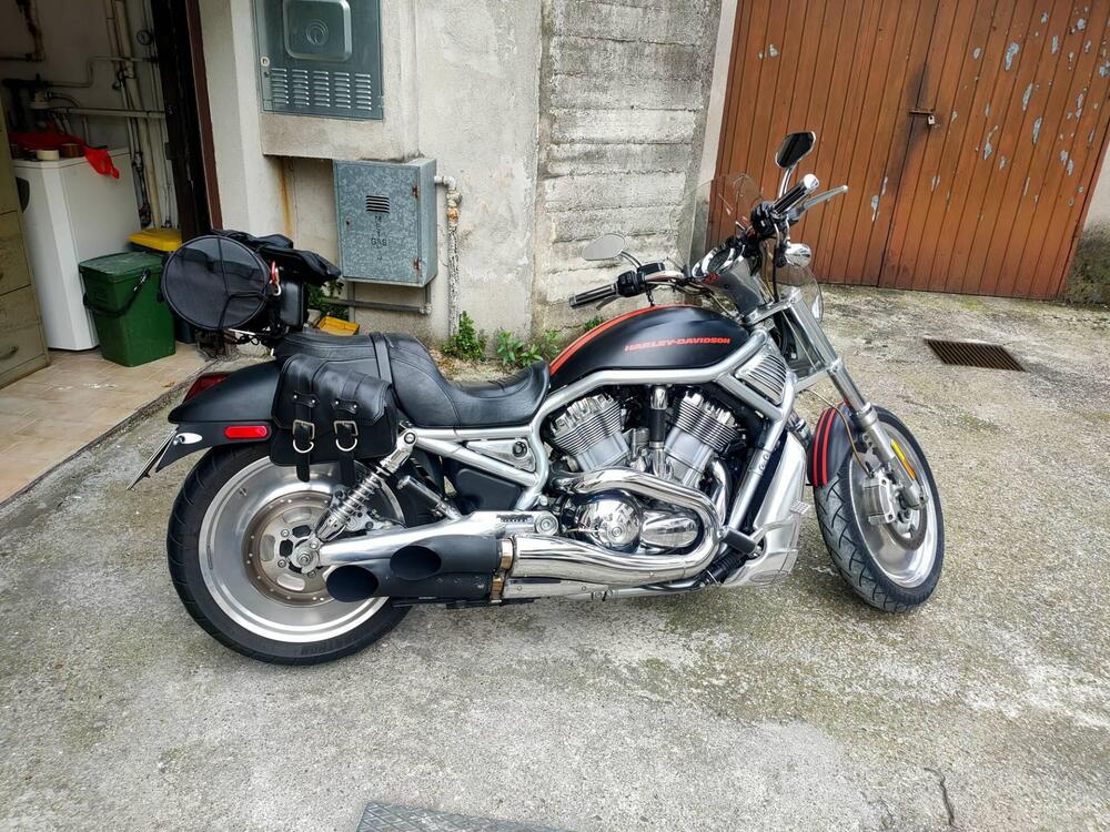 Harley-Davidson 1130 V-Rod (2006) - VRSCA (3)