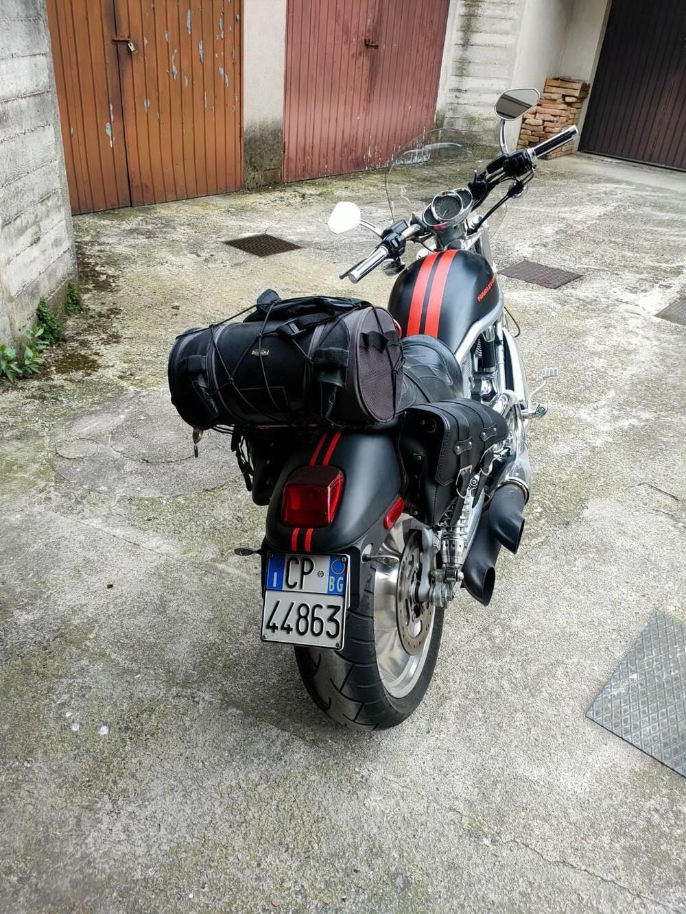 Harley-Davidson 1130 V-Rod (2006) - VRSCA (4)