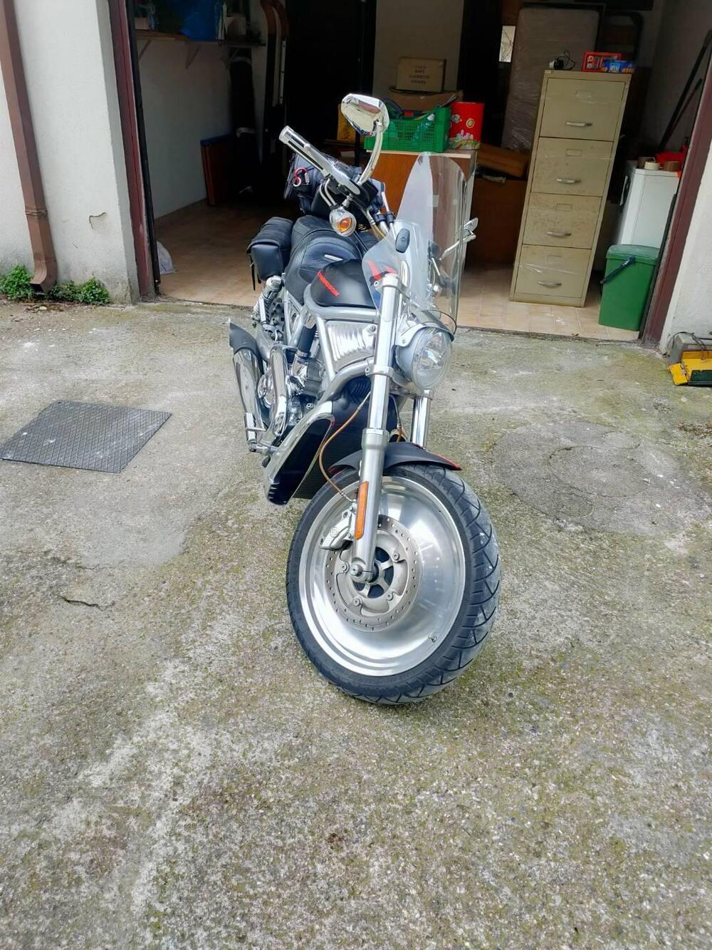 Harley-Davidson 1130 V-Rod (2006) - VRSCA (5)