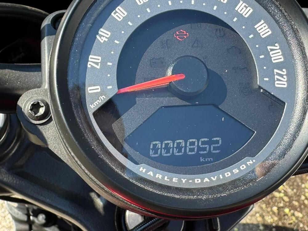 Harley-Davidson Nightster (2023 - 26) (3)