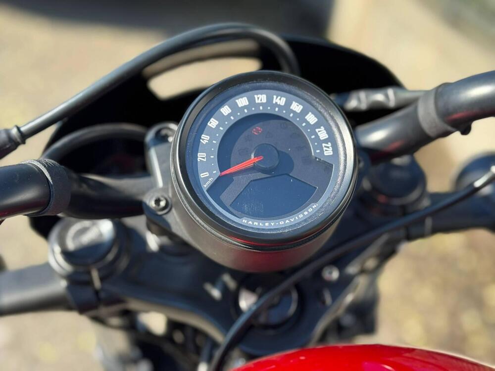 Harley-Davidson Nightster (2023 - 26) (4)