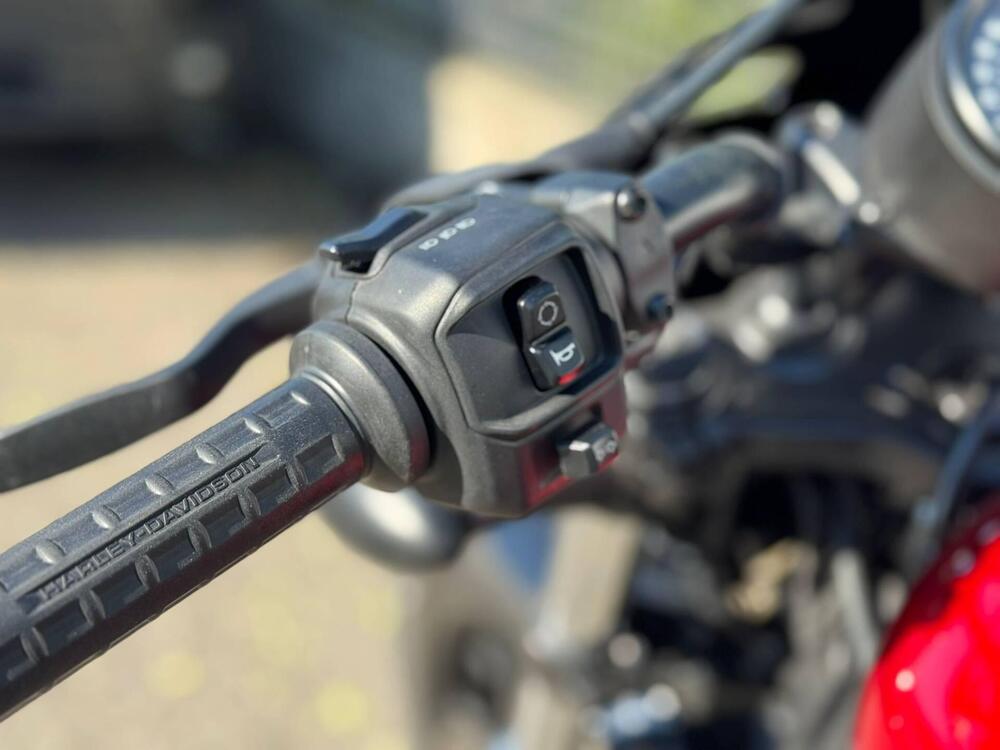 Harley-Davidson Nightster (2023 - 26) (6)