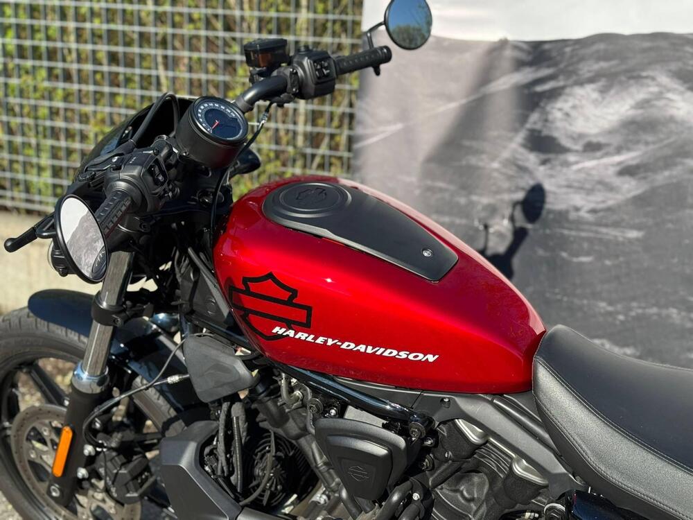 Harley-Davidson Nightster (2023 - 26) (7)