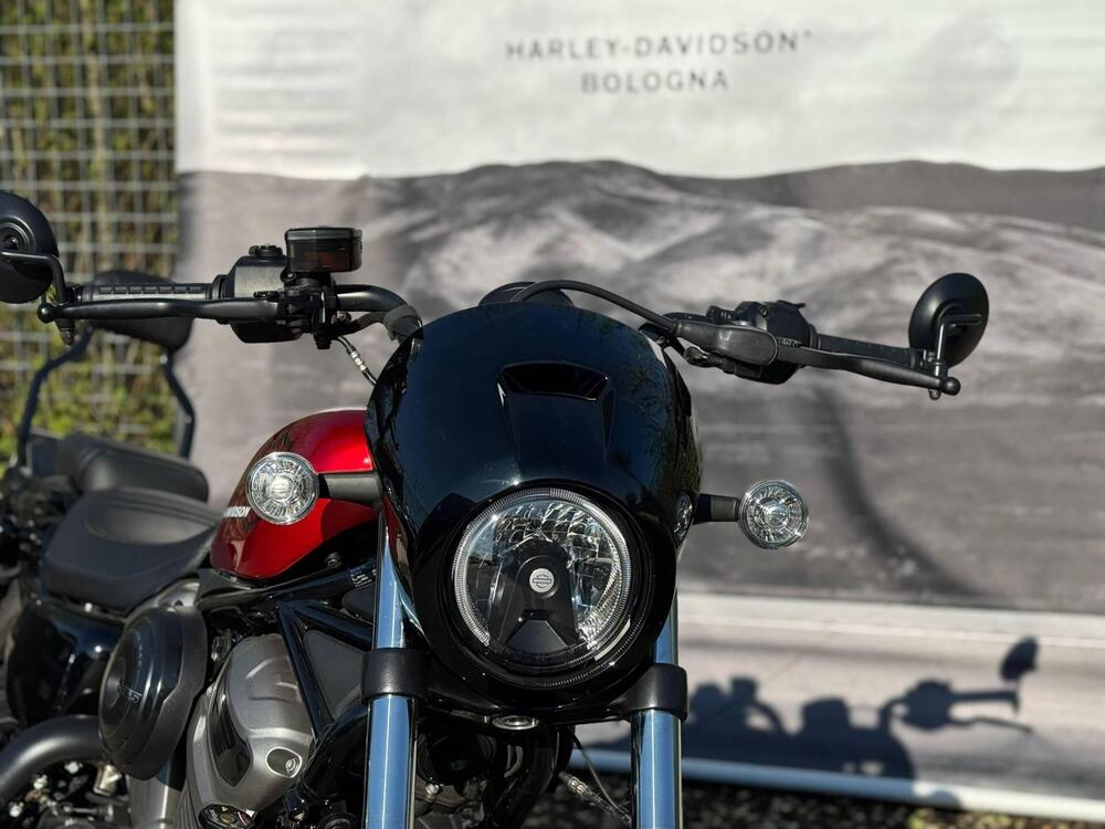 Harley-Davidson Nightster (2023 - 26) (8)