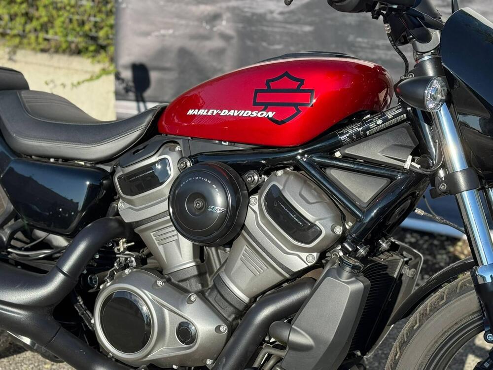 Harley-Davidson Nightster (2023 - 26) (11)