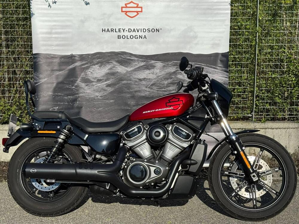 Harley-Davidson Nightster (2023 - 26)