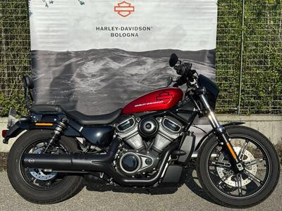 Harley-Davidson Nightster (2023 - 26) usata