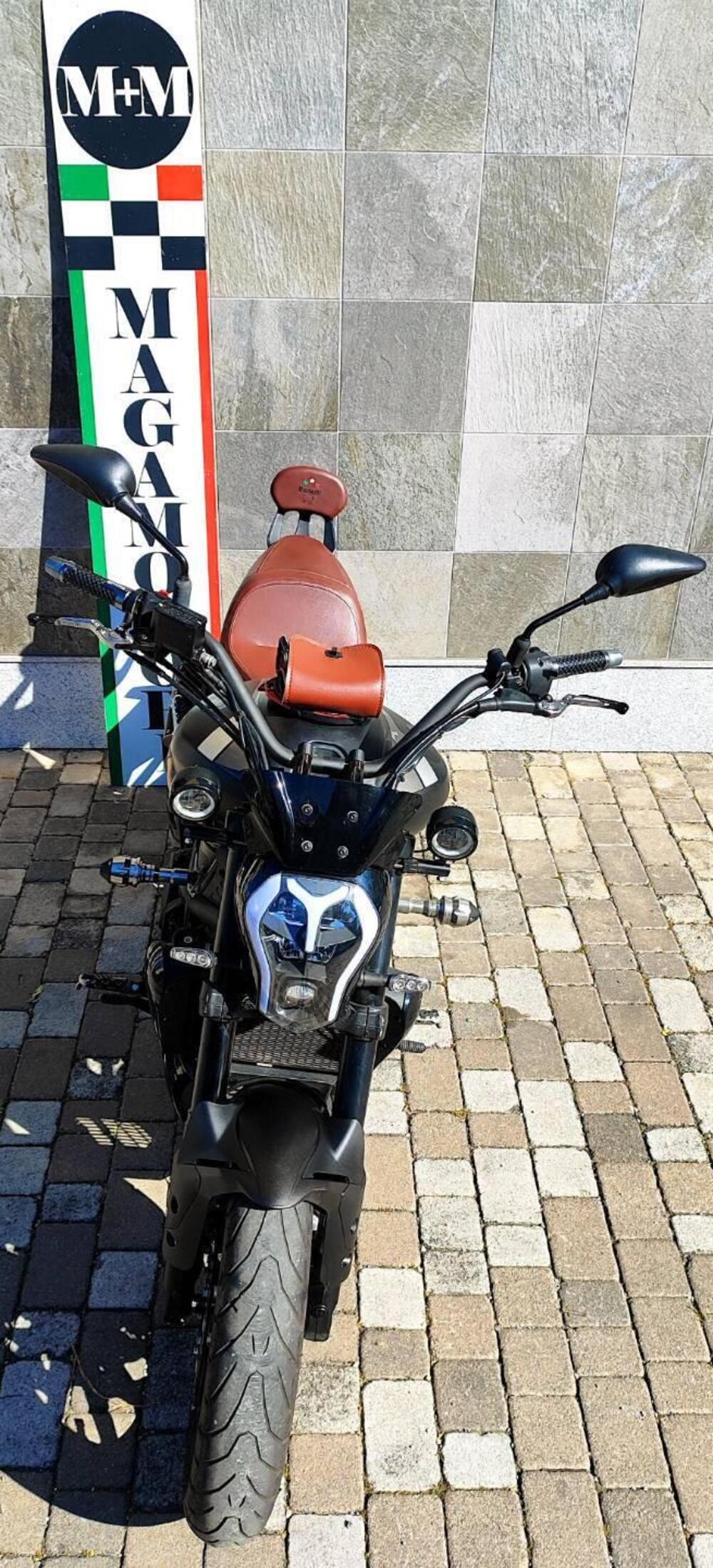 Benelli 502 C (2019 - 20) (4)