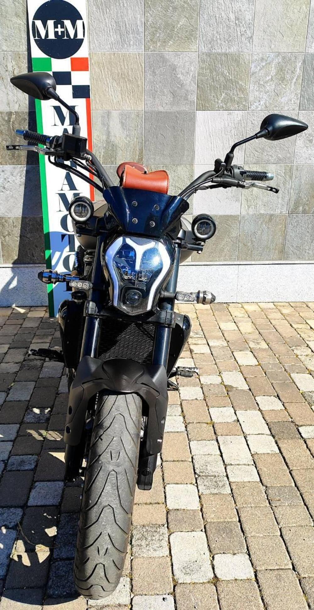 Benelli 502 C (2019 - 20) (5)